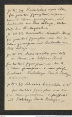 Nachlass Franz Steindachner, Liste von Prinzessin Therese von Bayern an Franz Steindachner, Inv.Nr. 537.08, Seite 2